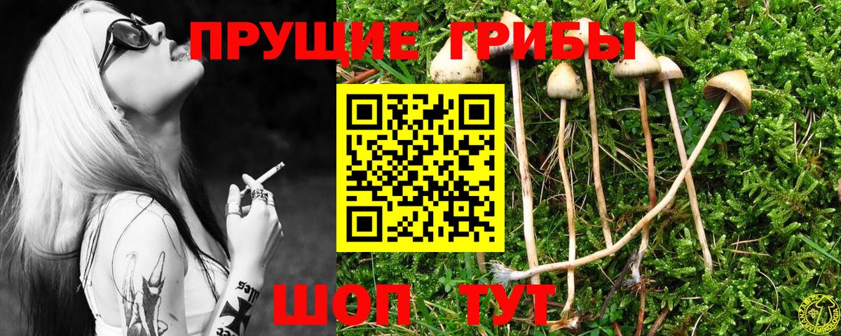 Псилоцибиновые грибы Magic Shrooms Зеленодольск
